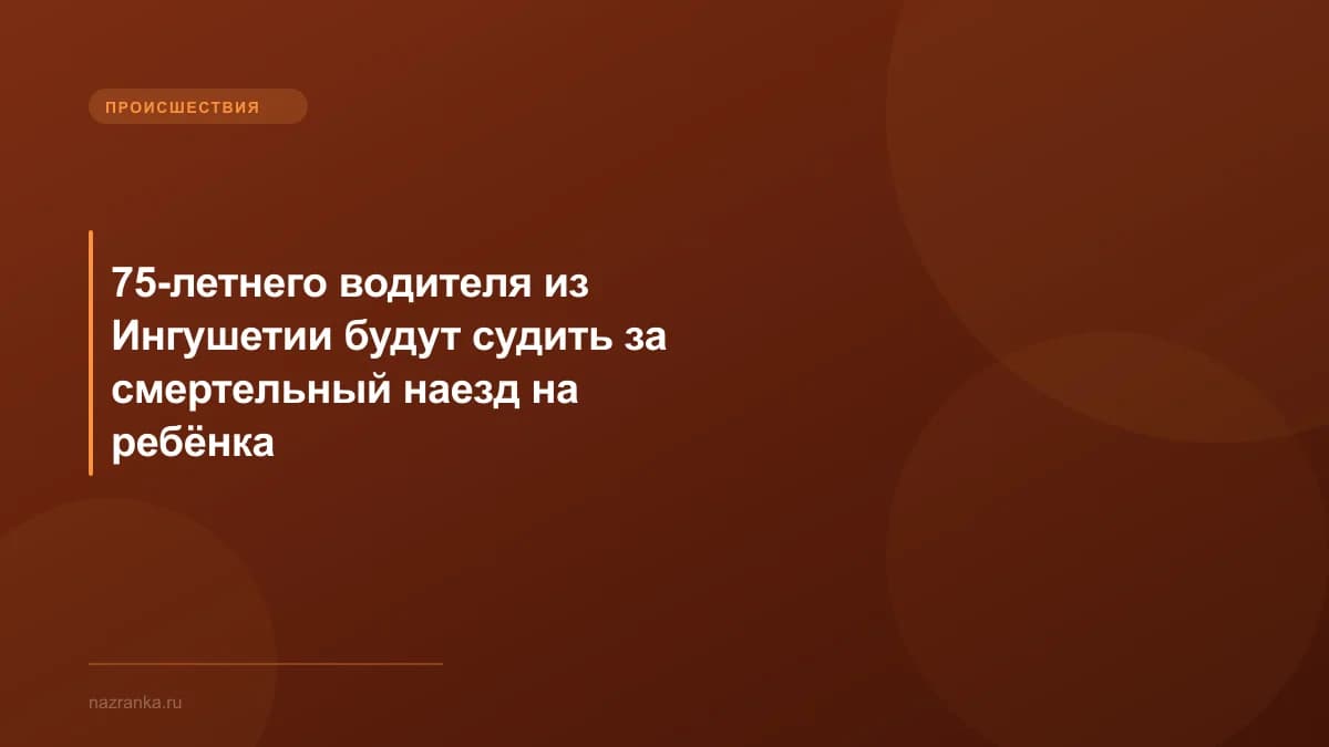 75-летнего водителя из Ингушетии будут судить за смертельный наезд на ребёнка