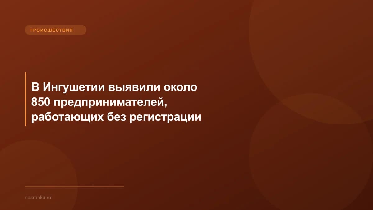 В Ингушетии выявили около 850 предпринимателей, работающих без регистрации