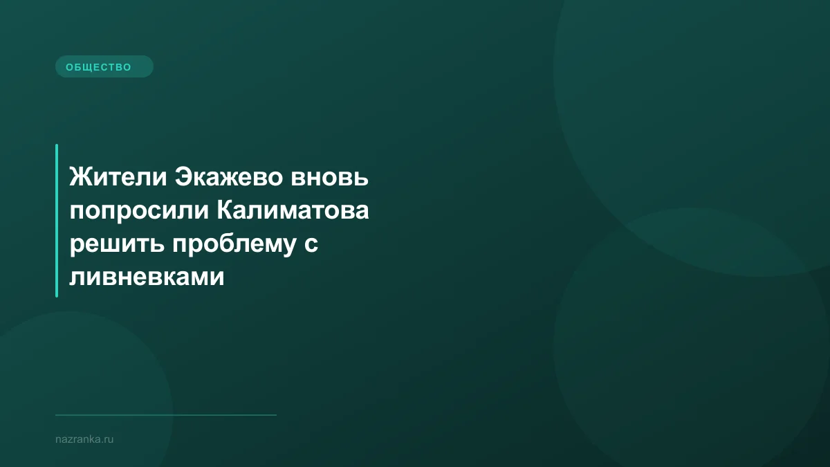 Жители Экажево вновь попросили Калиматова решить проблему с ливневками