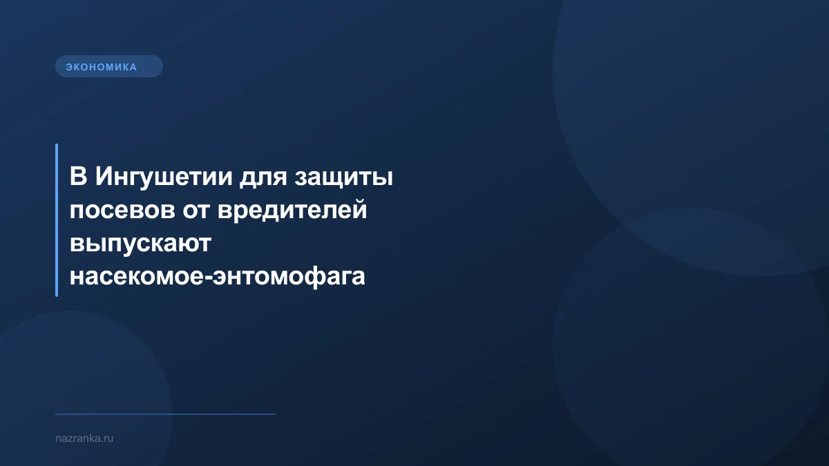В Ингушетии для защиты посевов от вредителей выпускают насекомое-энтомофага габробракона
