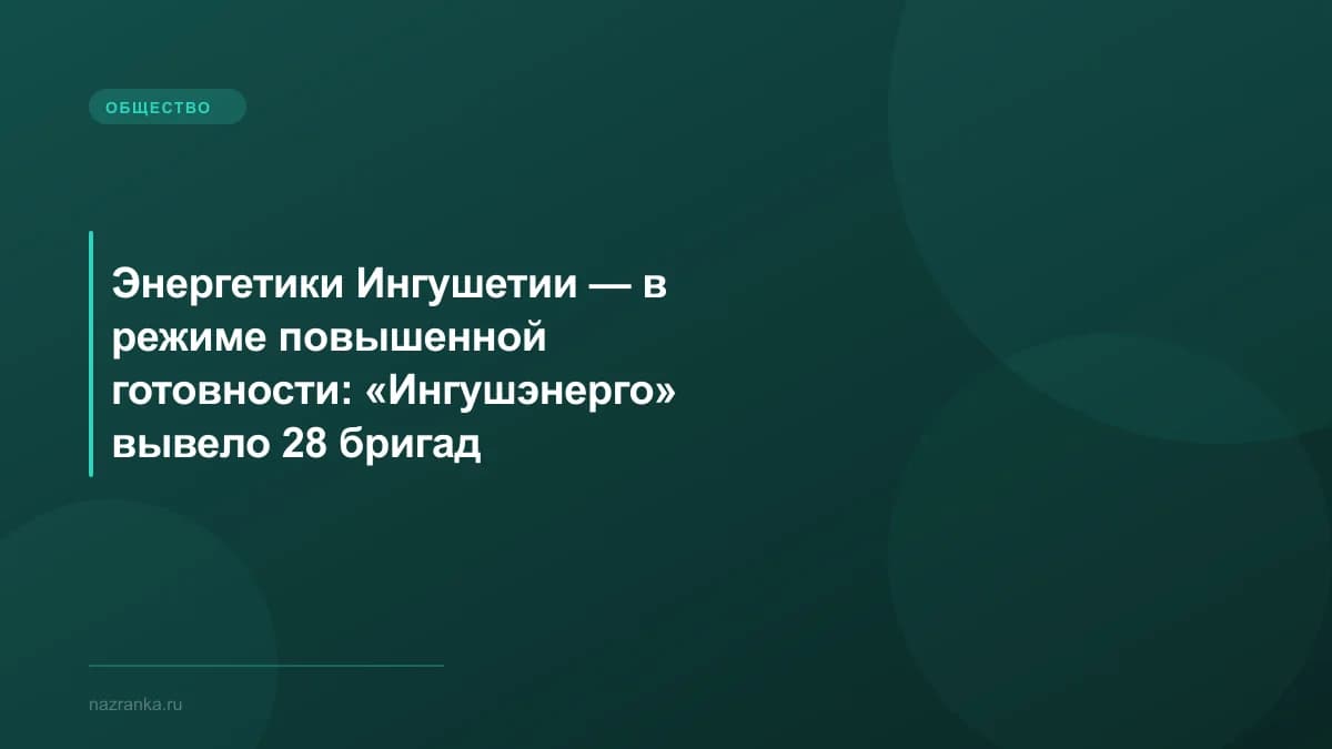 Энергетики Ингушетии — в режиме повышенной готовности: «Ингушэнерго» вывело 28 бригад