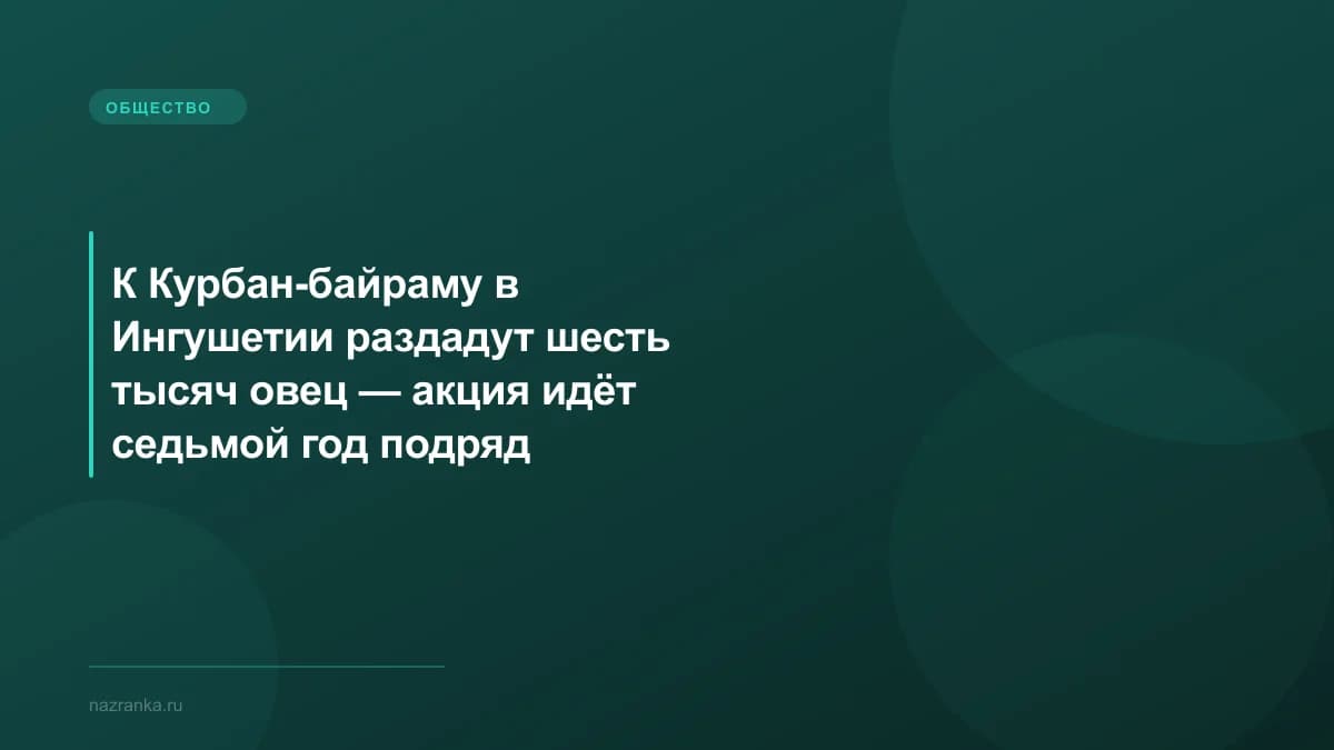 К Курбан-байраму в Ингушетии раздадут шесть тысяч овец — акция идёт седьмой год подряд