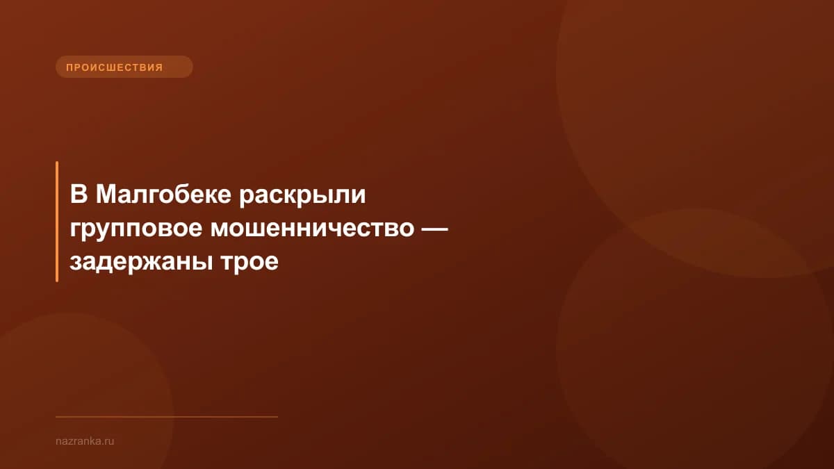 В Малгобеке раскрыли групповое мошенничество — задержаны трое