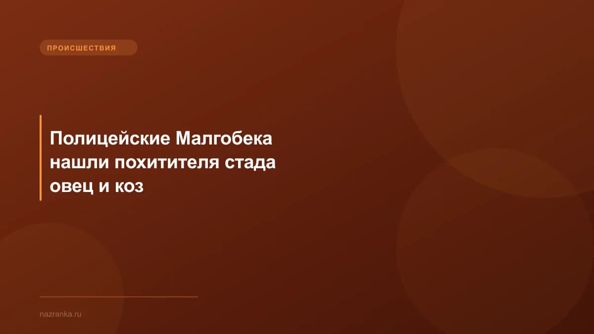 Полицейские Малгобека нашли похитителя стада овец и коз