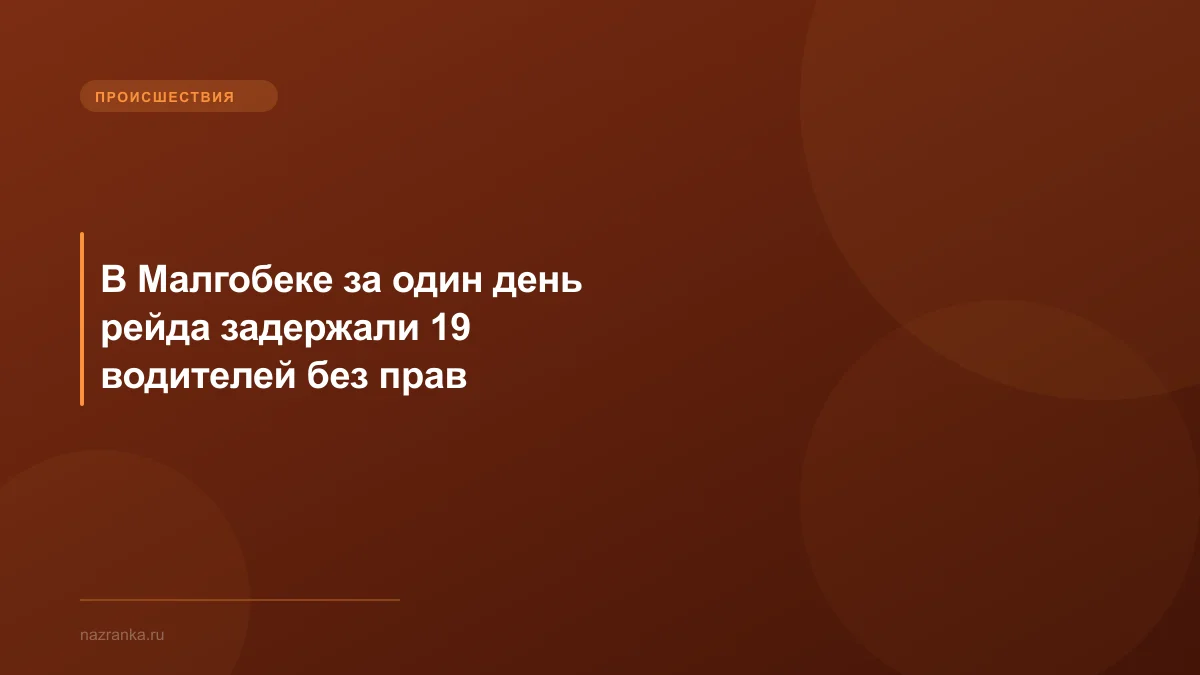 В Малгобеке за один день рейда задержали 19 водителей без прав