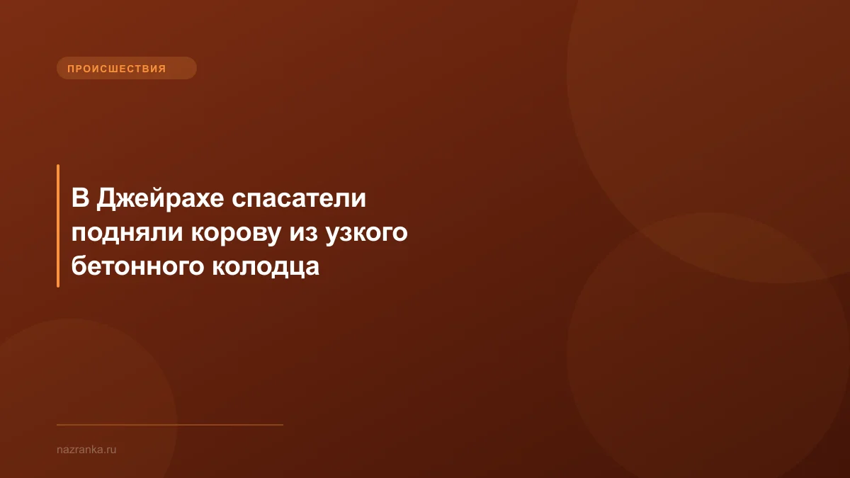 В Джейрахе спасатели подняли корову из узкого бетонного колодца