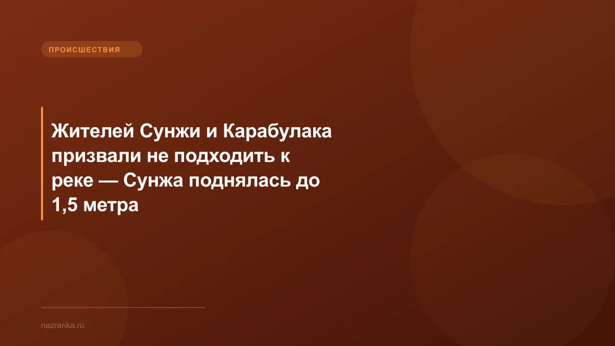 Жителей Сунжи и Карабулака призвали не подходить к реке — Сунжа поднялась до 1,5 метра